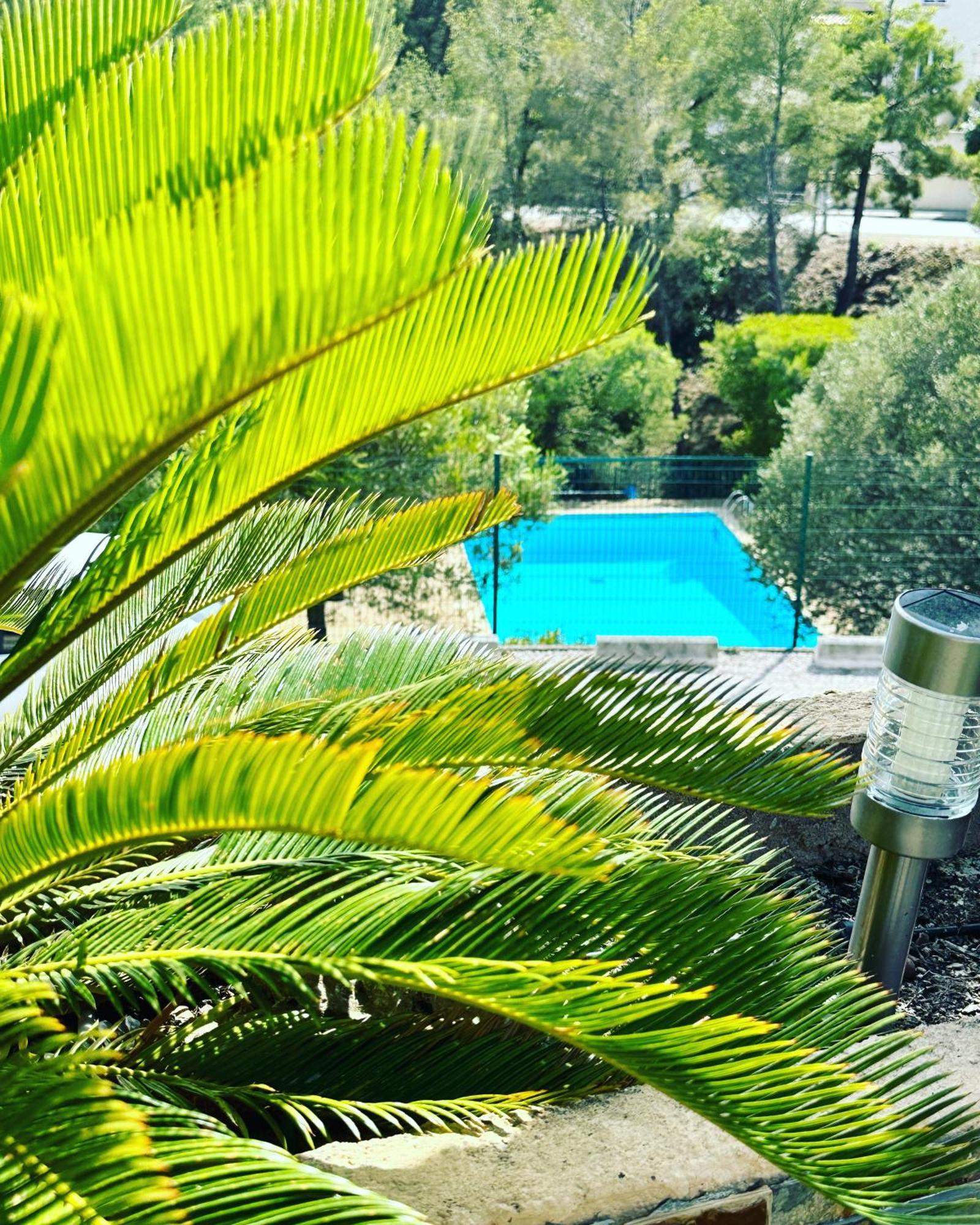 Vuemer Bandol - Grande Terrasse De 45M2 Vue Mer Piscine Parking Exterior foto